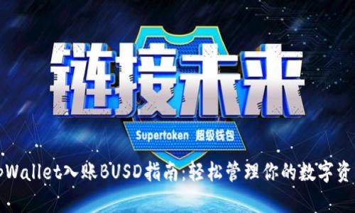 tpWallet入账BUSD指南：轻松管理你的数字资产