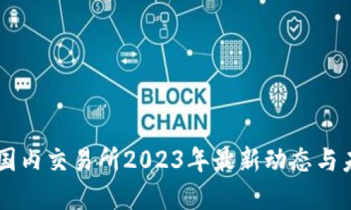 虚拟币国内交易所2023年最新动态与未来展望