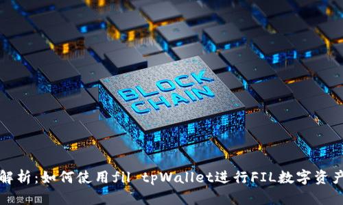 全面解析：如何使用fil tpWallet进行FIL数字资产管理