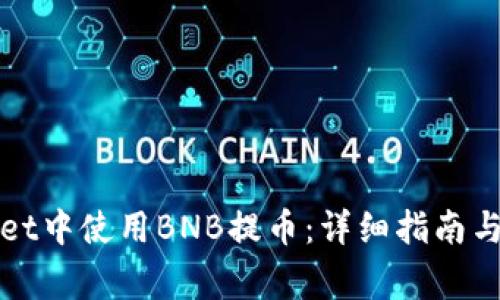 如何在tpWallet中使用BNB提币：详细指南与常见问题解答