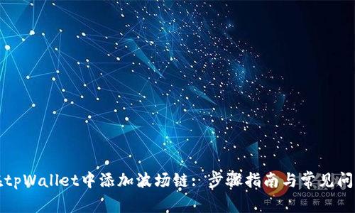 如何在tpWallet中添加波场链: 步骤指南与常见问题解析