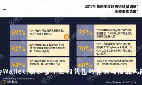tpWallet：揭秘当下热门钱包的真相与潜在风险