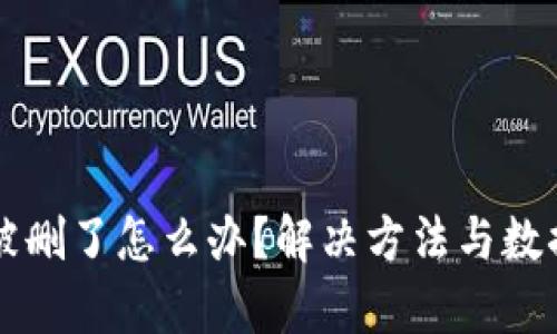tpWallet被删了怎么办？解决方法与数据恢复技巧