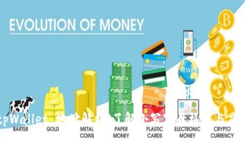 tpWallet 地址解析：了解小写字母格式与应用