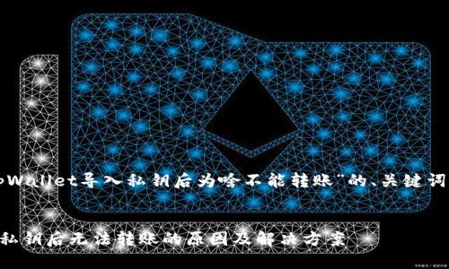以下是针对“tpWallet导入私钥后为啥不能转账”的、关键词以及内容大纲。


tpWallet导入私钥后无法转账的原因及解决方案