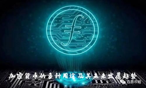 加密货币的多种用途及其未来发展趋势