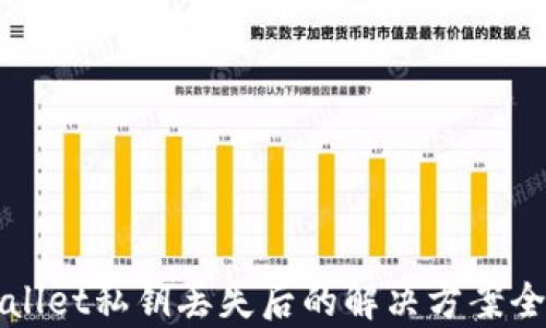 
tpWallet私钥丢失后的解决方案全解析