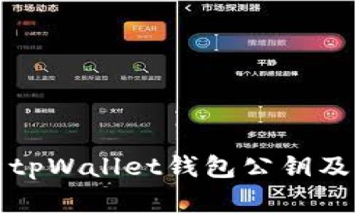 全面解析tpWallet钱包公钥及其安全性