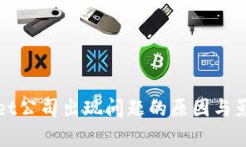 tpWallet公司出现问题的原因与影响解析