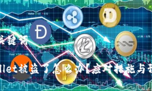 思考和关键词

: tpWallet被盗了怎么办？应对措施与预防攻略