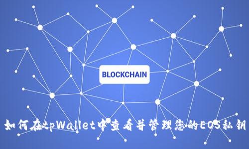 如何在tpWallet中查看并管理您的EOS私钥