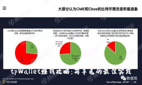 tpWallet赚钱攻略：薅羊毛的最佳实践