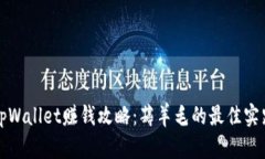 tpWallet赚钱攻略：薅羊毛的