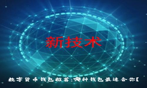 数字货币钱包推荐：哪种钱包最适合你？