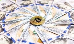 如何选择和购买SafePal硬件