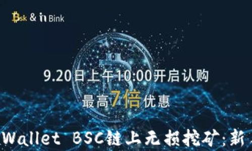 
深入探讨TP Wallet BSC链上无损挖矿：新手指南及分析