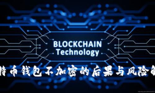 比特币钱包不加密的后果与风险解析
