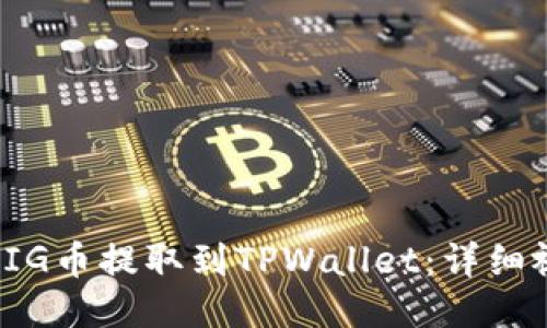 如何将PIG币提取到TPWallet：详细视频教程