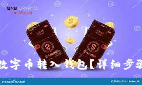 怎么将数字币转入钱包？详细步骤与技巧