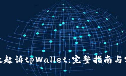 如何有效起诉tpWallet：完整指南与实用建议