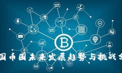 中国币圈未来发展趋势与挑战分析