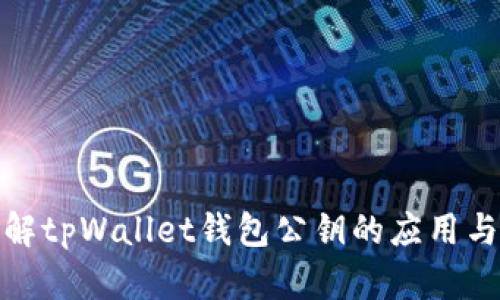 全面了解tpWallet钱包公钥的应用与安全性