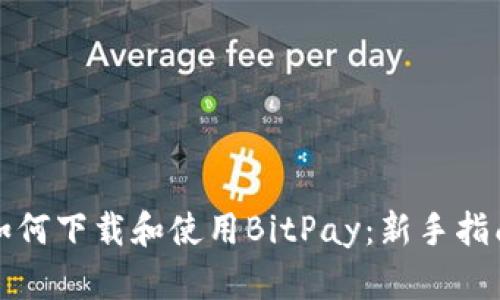 如何下载和使用BitPay：新手指南
