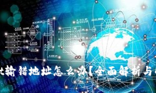 tpWallet输错地址怎么办？全面解析与解决方案