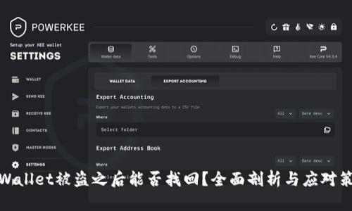 tpWallet被盗之后能否找回？全面剖析与应对策略