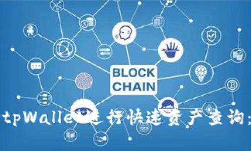 如何使用tpWallet进行快速资产查询：全面指南
