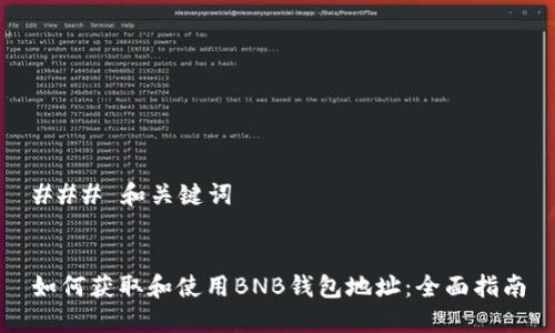 ### 和关键词


如何获取和使用BNB钱包地址：全面指南