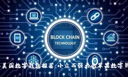 2024年美国数字钱包推荐：小众而强大的苹果数字钱包选择