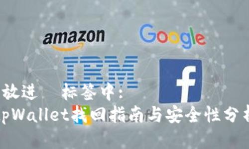  放进  标签中: 
tpWallet找回指南与安全性分析