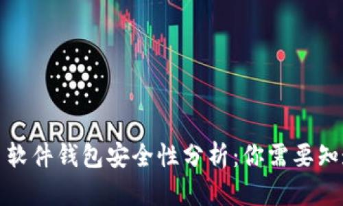 数字货币软件钱包安全性分析：你需要知道的一切