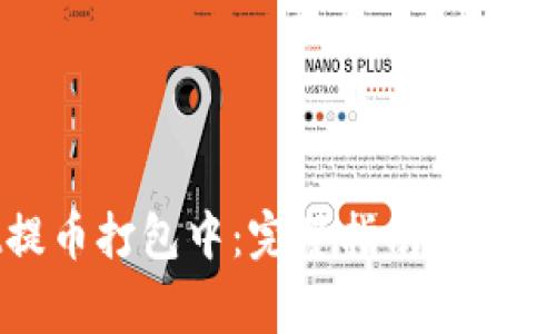 tpWallet提币打包中：完整指南与常见问题解答