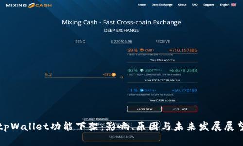 tpWallet功能下架：影响、原因与未来发展展望