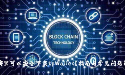在哪里可以安全下载tpWallet？指南与常见问题解析