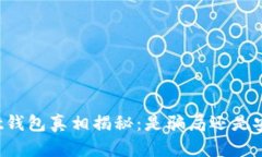 tpWallet钱包真相揭秘：是骗