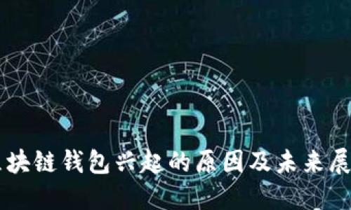 区块链钱包兴起的原因及未来展望
