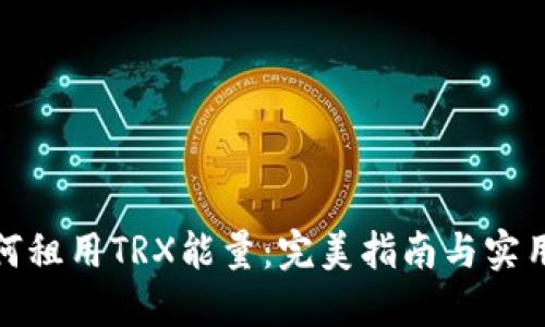 : 如何租用TRX能量：完美指南与实用技巧