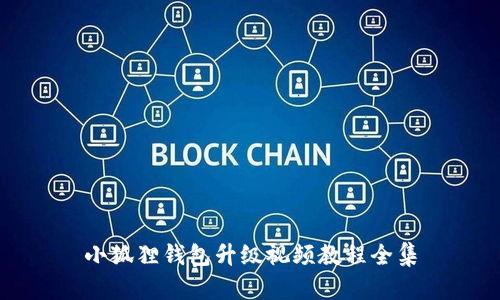 小狐狸钱包升级视频教程全集