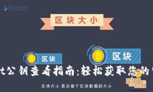 tpWallet公钥查看指南：轻松获取您的公钥信息