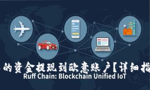如何将tpWallet中的资金提现到欧意账户？详细指南与常见问题解析