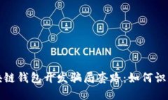 揭露区块链钱包开发骗局