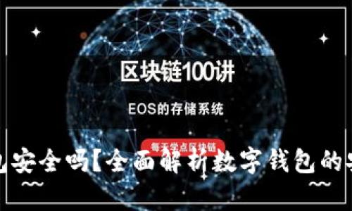 下载数字钱包安全吗？全面解析数字钱包的安全性与风险