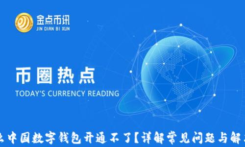
为什么中国数字钱包开通不了？详解常见问题与解决方案