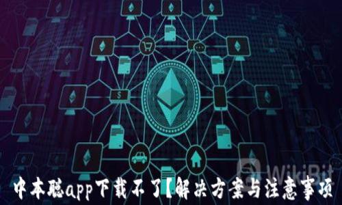 
中本聪app下载不了？解决方案与注意事项