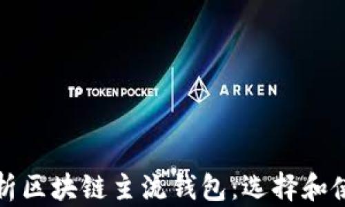 
全面解析区块链主流钱包：选择和使用指南