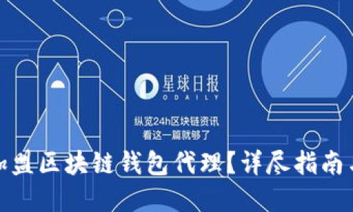 如何成功加盟区块链钱包代理？详尽指南与实用建议