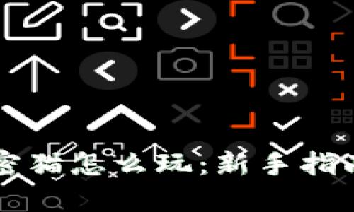 tpWallet加密猫怎么玩：新手指南与技巧分享